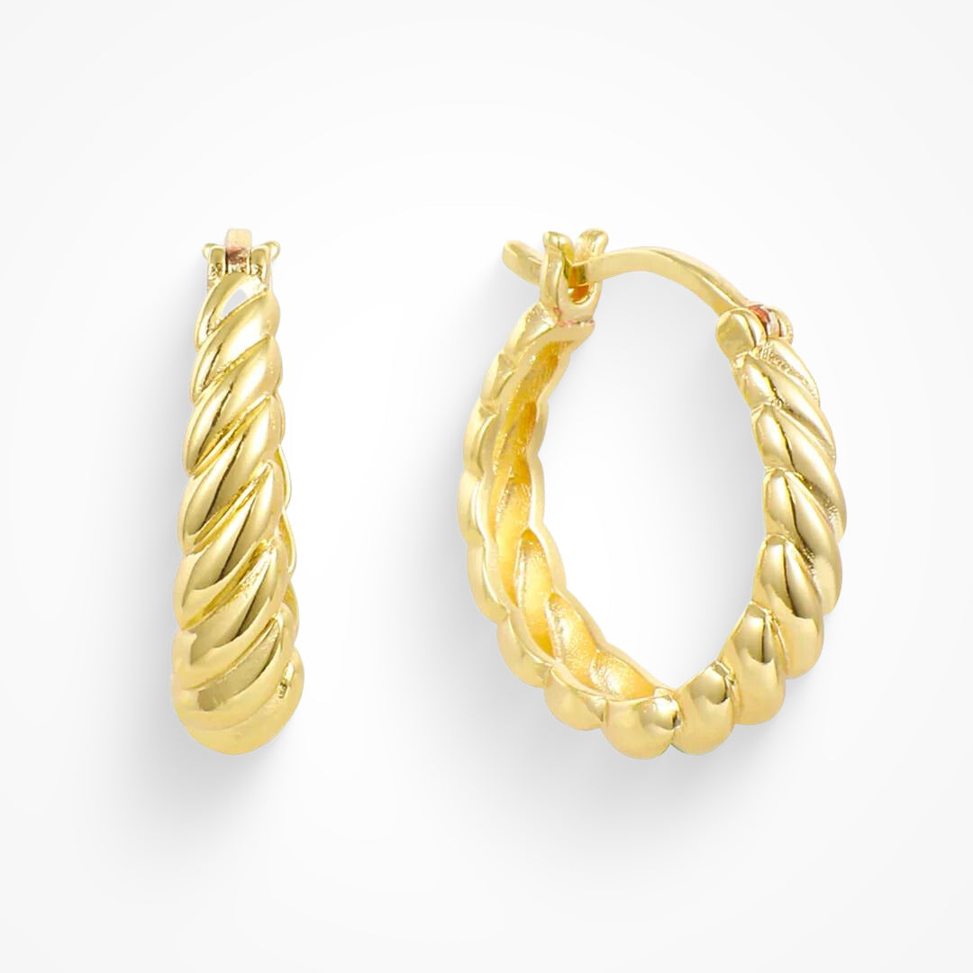 Elegant and Lightweight Earrings